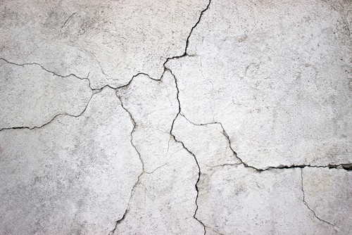 How to identify Termite Infestation?