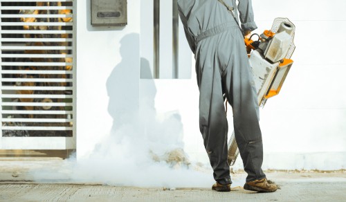 Can A Pest Control Company Kill All Kinds Of Pests?