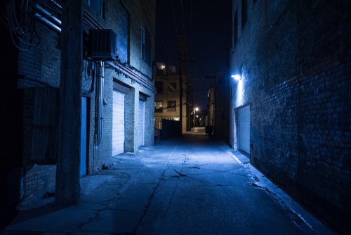 Rodent Control Service For Restaurant in Singapore