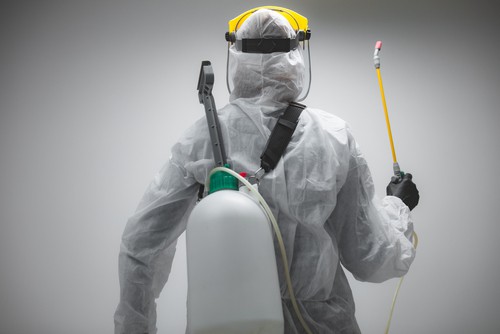 Rodent Control Service For Restaurant in Singapore