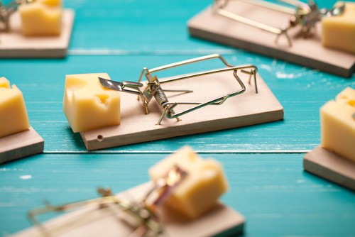 Dangers Of Rodents In Your Restaurant