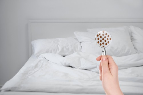 5 Effective Ways To Ensure Your Hotel Room Is (Bed Bugs Free)
